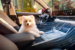 Лёгкое дыхание