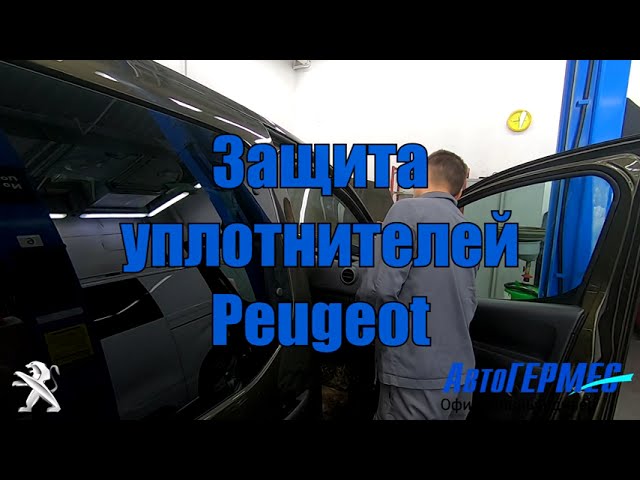 Диагностика Пежо (Peugeot) в СПб