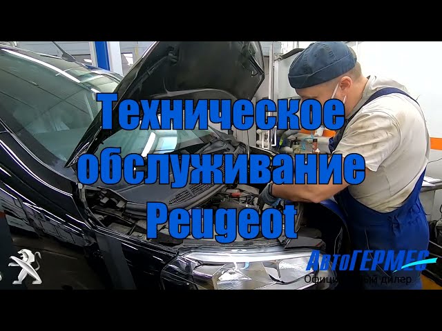 Ремонт и обслуживание Peugeot 406 в СТО Elcars в Харькове