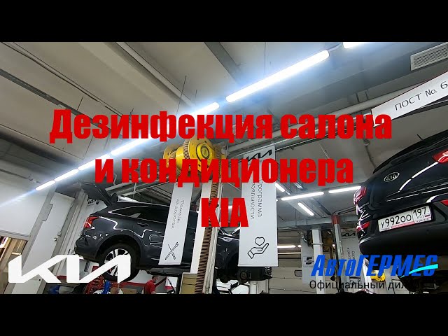 Кузовной ремонт Kia Spectra в Алматы✔️, цены на ремонт кузова Киа Спектра