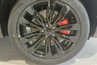 KNEWSTAR 001 Flagship Sport Фото KNEWSTAR 001 Flagship Sport