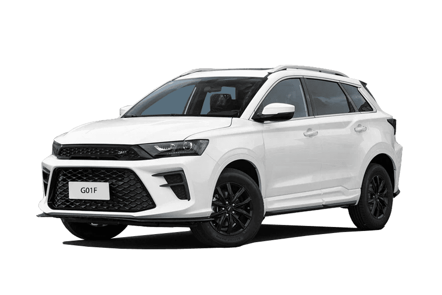 SWM G01F Фото SWM G01F