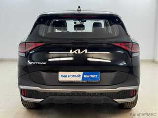 Фото Kia Sportage V с пробегом Фото Kia Sportage V с пробегом